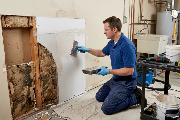 Mold and Drywall Repair Mukilteo