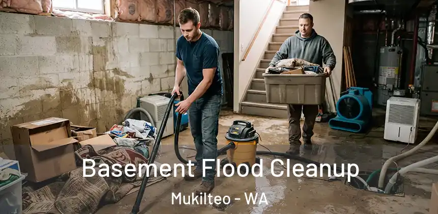  Basement Flood Cleanup Mukilteo - WA