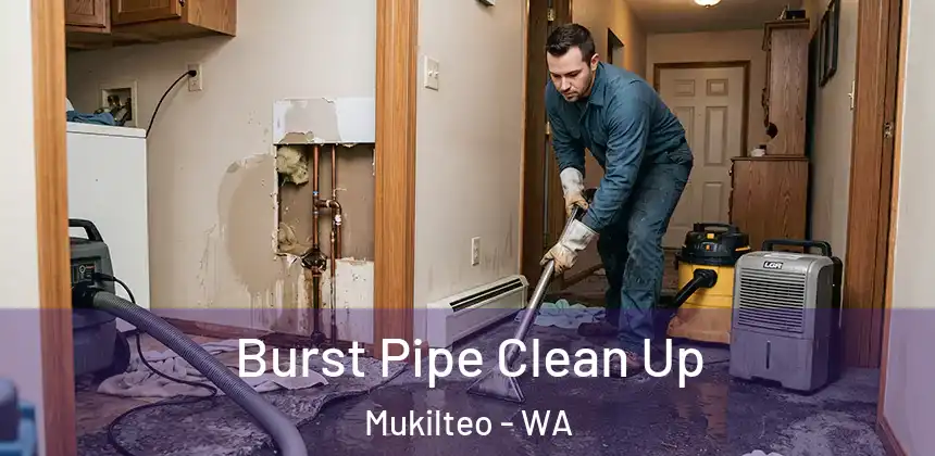  Burst Pipe Clean Up Mukilteo - WA