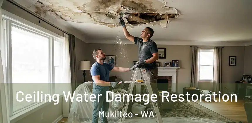  Ceiling Water Damage Restoration Mukilteo - WA