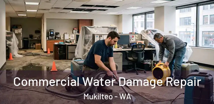 Commercial Water Damage Repair Mukilteo - WA