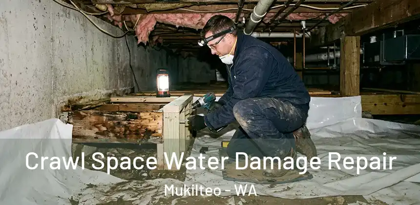 Crawl Space Water Damage Repair Mukilteo - WA
