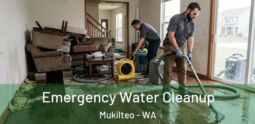  Emergency Water Cleanup Mukilteo - WA
