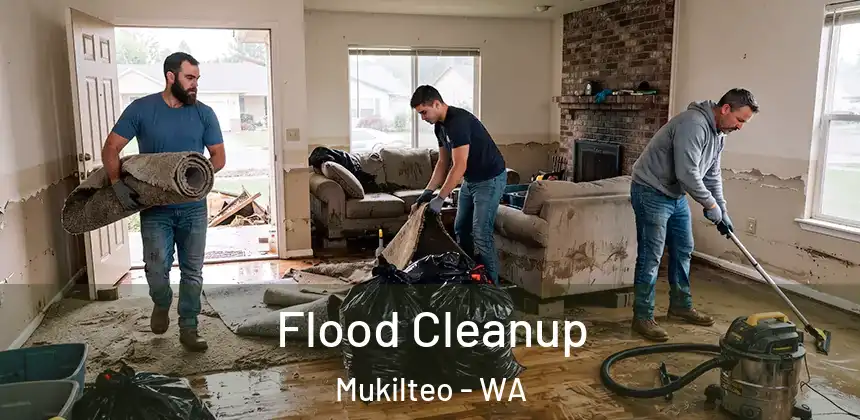  Flood Cleanup Mukilteo - WA