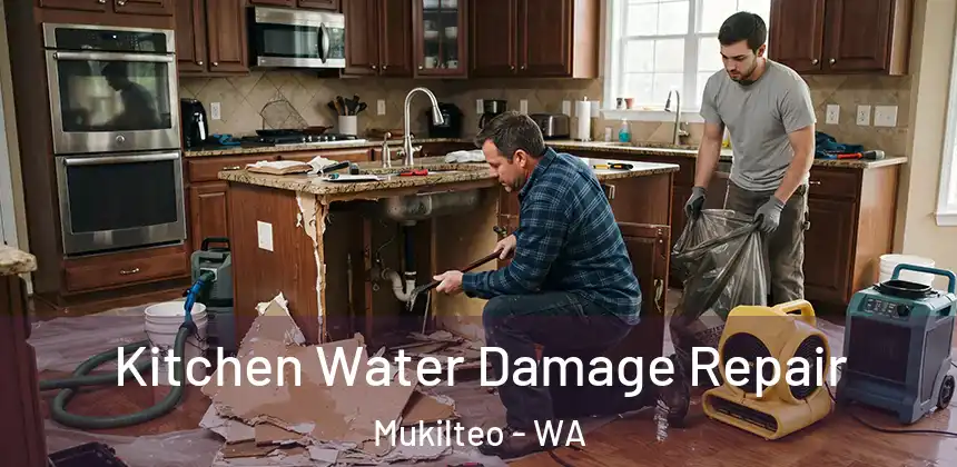  Kitchen Water Damage Repair Mukilteo - WA