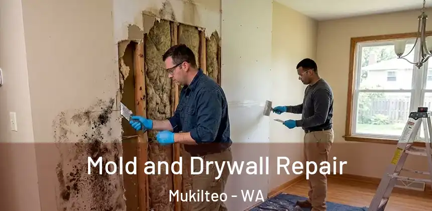 Mold and Drywall Repair Mukilteo - WA