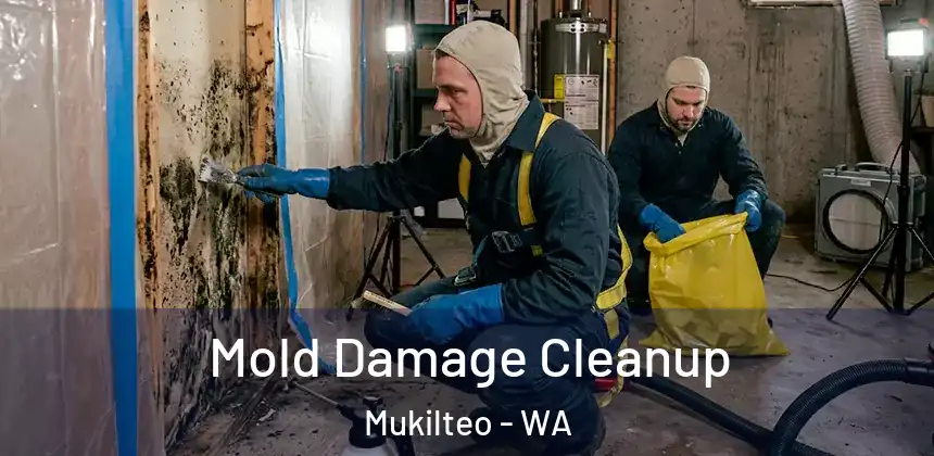  Mold Damage Cleanup Mukilteo - WA