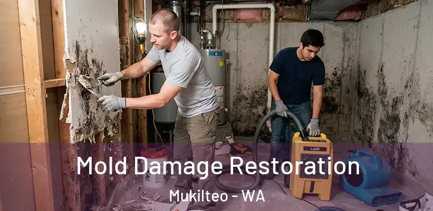  Mold Damage Restoration Mukilteo - WA