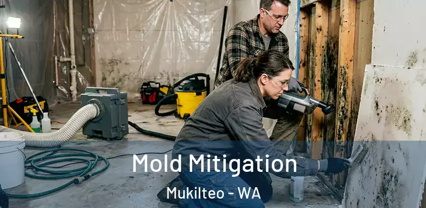  Mold Mitigation Mukilteo - WA