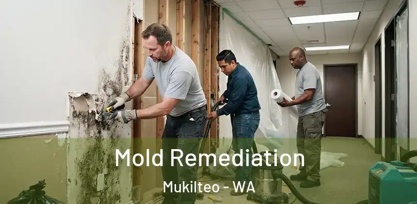  Mold Remediation Mukilteo - WA