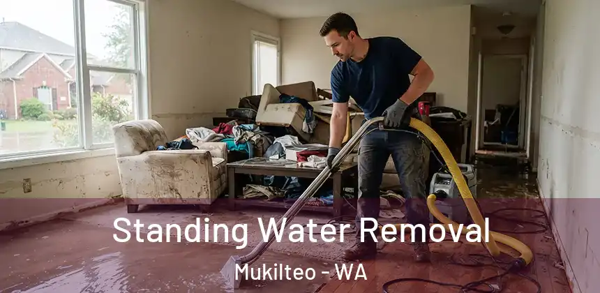  Standing Water Removal Mukilteo - WA