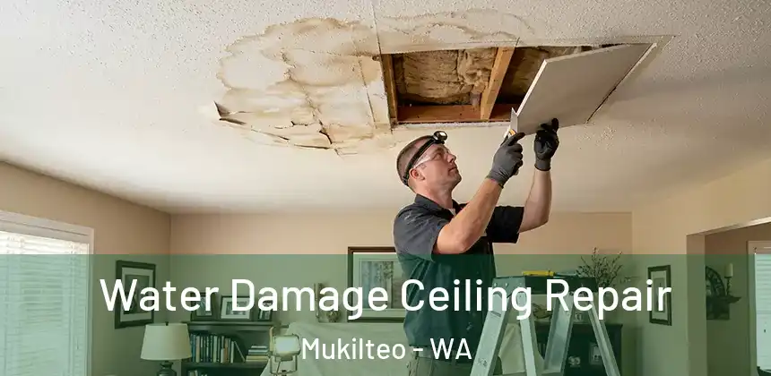  Water Damage Ceiling Repair Mukilteo - WA