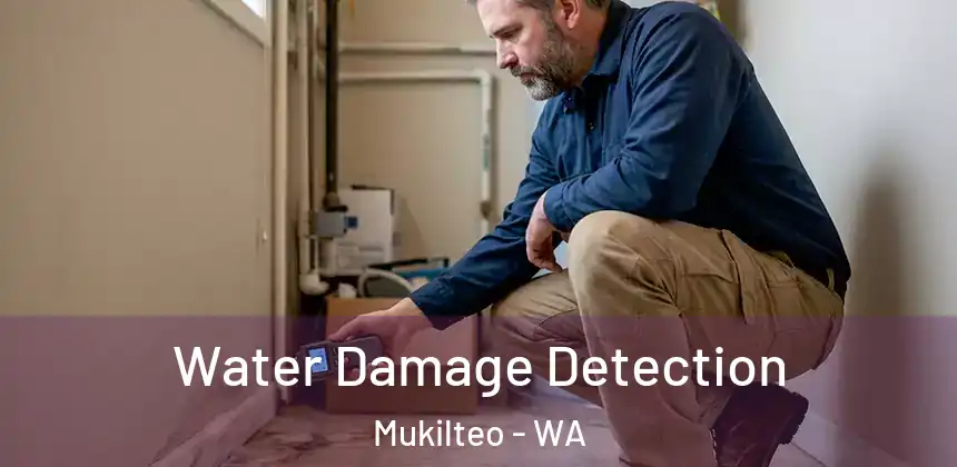  Water Damage Detection Mukilteo - WA