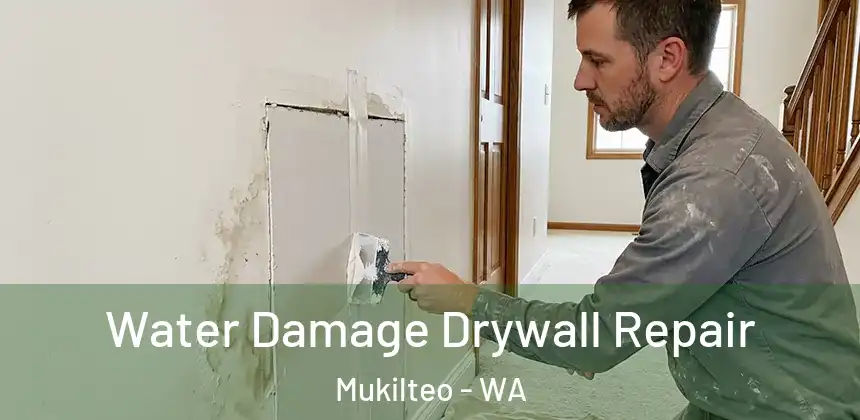 Water Damage Drywall Repair Mukilteo - WA