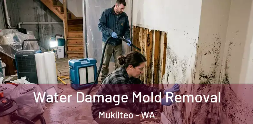  Water Damage Mold Removal Mukilteo - WA