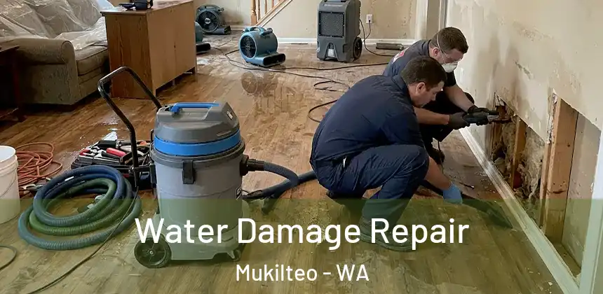 Water Damage Repair Mukilteo - WA