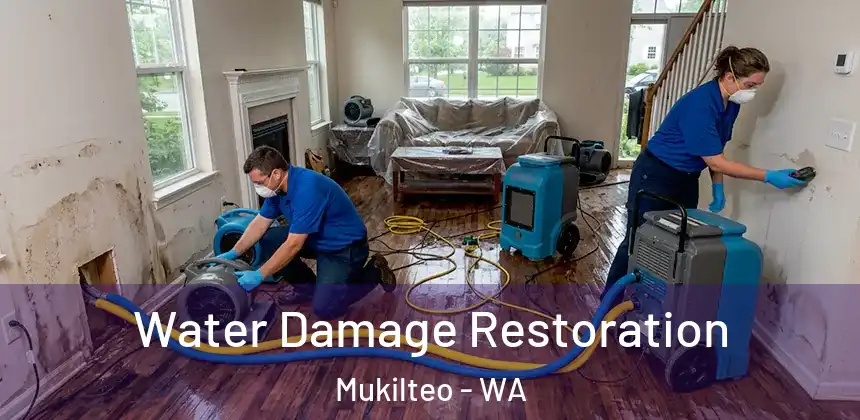  Water Damage Restoration Mukilteo - WA