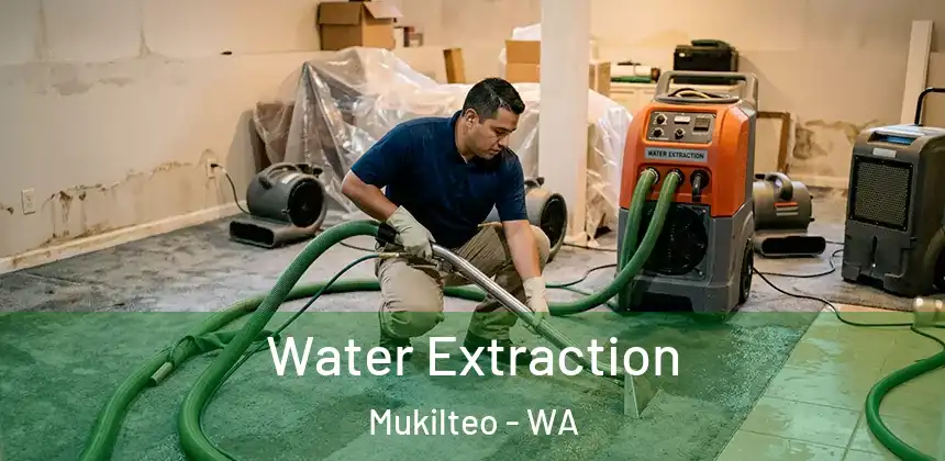 Water Extraction Mukilteo - WA