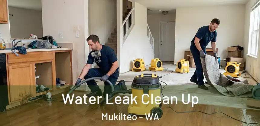  Water Leak Clean Up Mukilteo - WA
