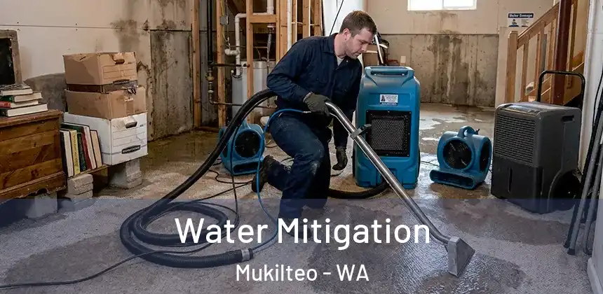  Water Mitigation Mukilteo - WA