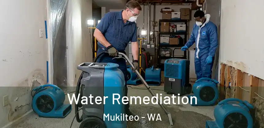  Water Remediation Mukilteo - WA