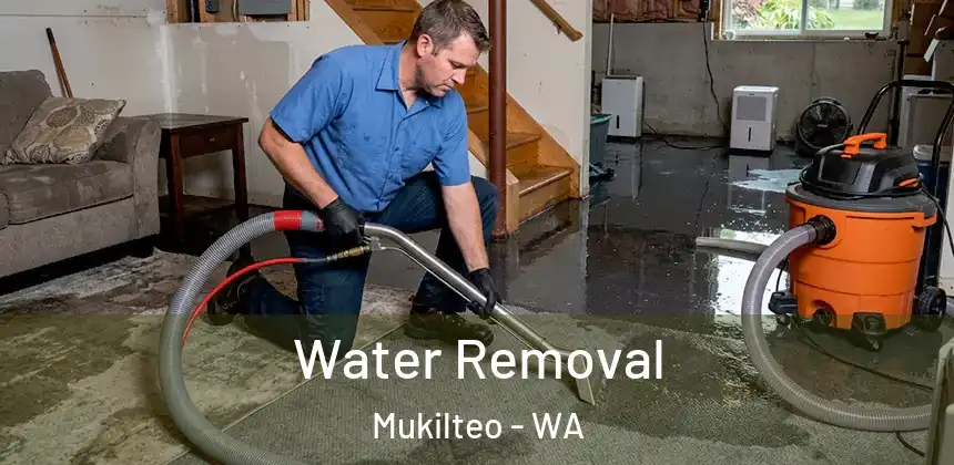  Water Removal Mukilteo - WA