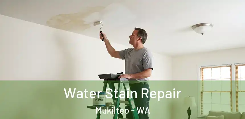 Water Stain Repair Mukilteo - WA